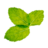 Peppermint - one of Divi's ingredients